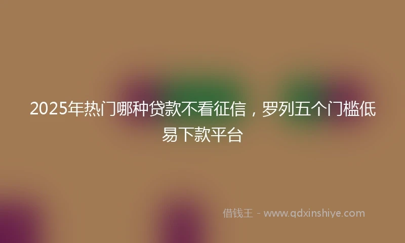 2025年热门哪种贷款不看征信，罗列五个门槛低易下款平台