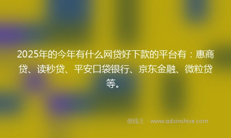 2025年的今年有什么网贷好下款的平台有：惠商贷、读秒贷、平安口袋银行、京东金融、微粒贷等。