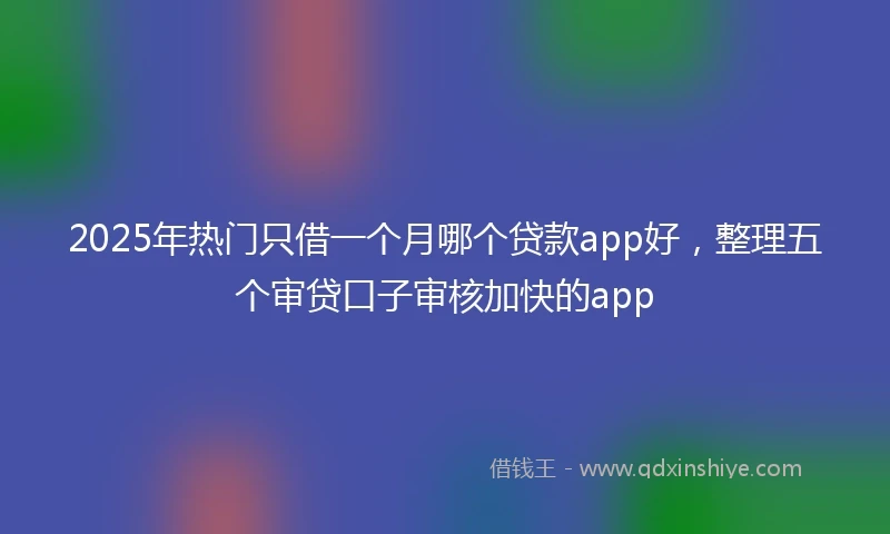 2025年热门只借一个月哪个贷款app好，整理五个审贷口子审核加快的app