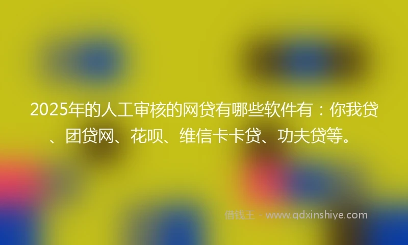 2025年的人工审核的网贷有哪些软件有：你我贷、团贷网、花呗、维信卡卡贷、功夫贷等。