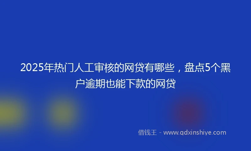 2025年热门人工审核的网贷有哪些，盘点5个黑户逾期也能下款的网贷
