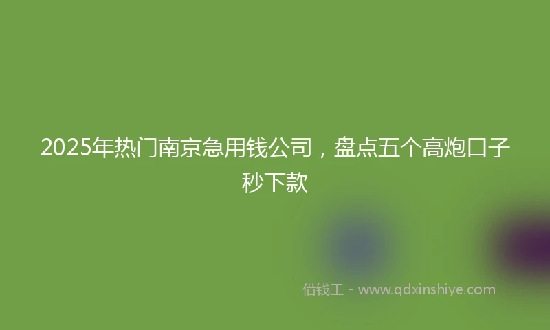 2025年热门南京急用钱公司，盘点五个高炮口子秒下款