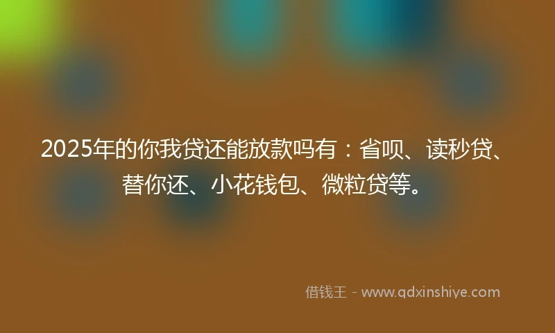 2025年的你我贷还能放款吗有:省呗、读秒贷、替你还、小花钱包、微粒贷等。