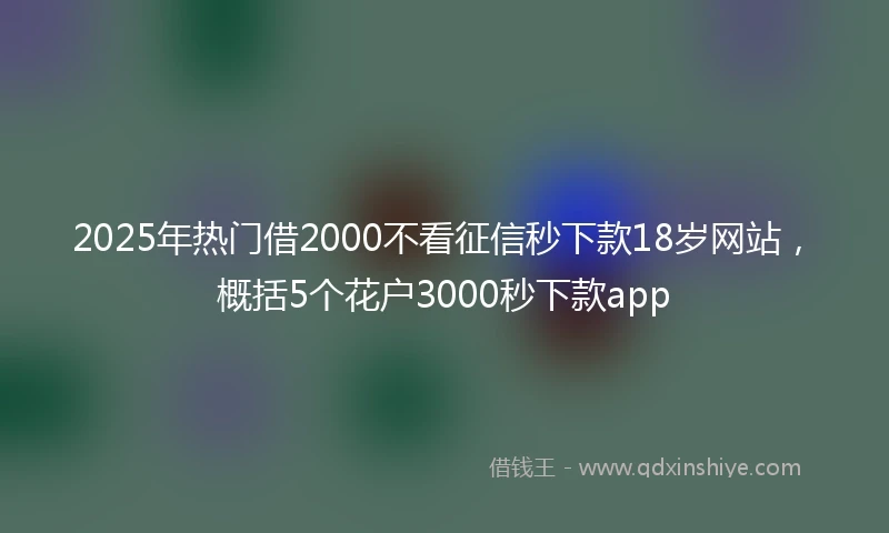 2025年热门借2000不看征信秒下款18岁网站，概括5个花户3000秒下款app