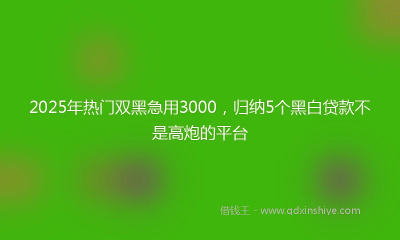 2025年热门双黑急用3000，归纳5个黑白贷款不是高炮的平台