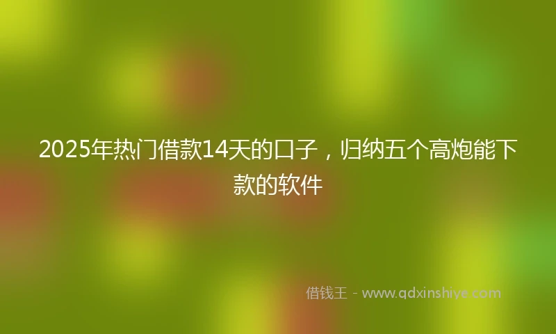 2025年热门借款14天的口子,归纳五个高炮能下款的软件