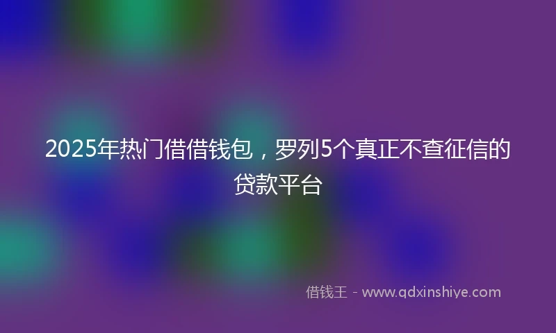 2025年热门借借钱包，罗列5个真正不查征信的贷款平台