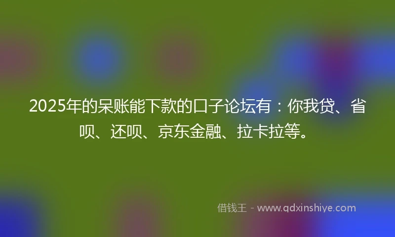 2025年的呆账能下款的口子论坛有：你我贷、省呗、还呗、京东金融、拉卡拉等。