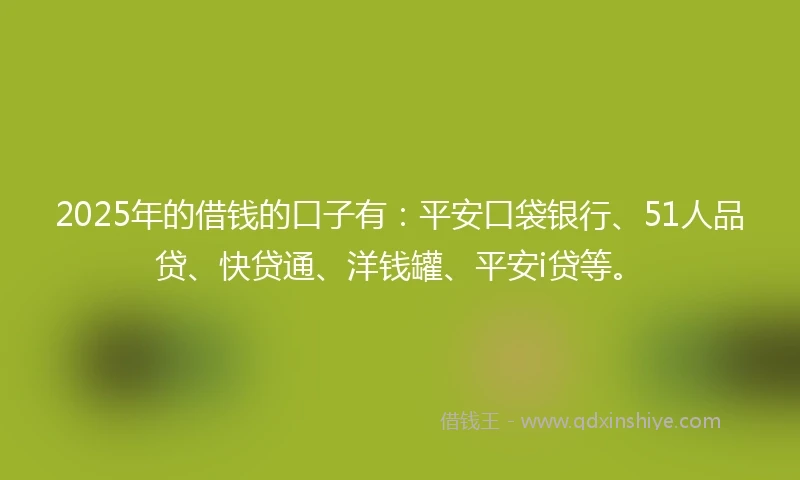 2025年的借钱的口子有：平安口袋银行、51人品贷、快贷通、洋钱罐、平安i贷等。