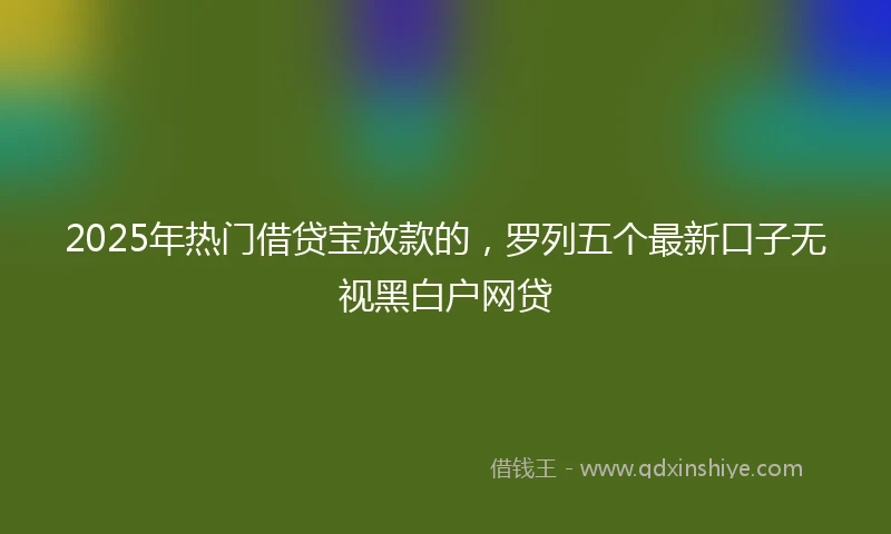 2025年热门借贷宝放款的,罗列五个最新口子无视黑白户网贷