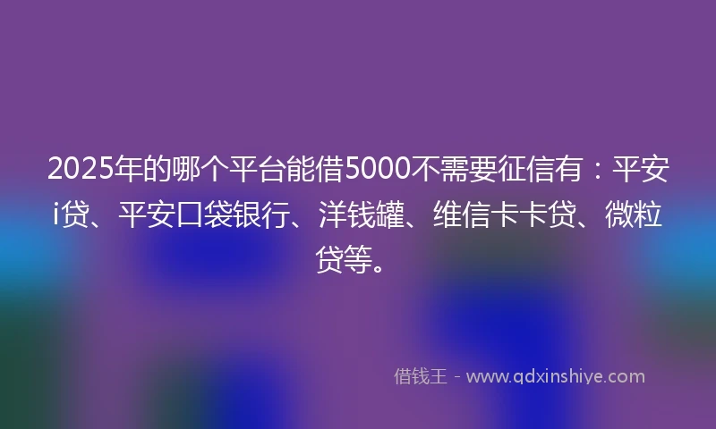 2025年的哪个平台能借5000不需要征信有：平安i贷、平安口袋银行、洋钱罐、维信卡卡贷、微粒贷等。