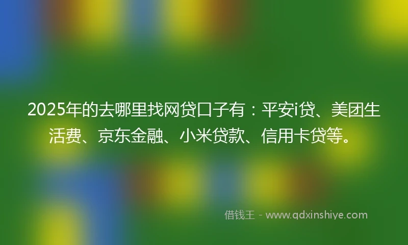 2025年的去哪里找网贷口子有：平安i贷、美团生活费、京东金融、小米贷款、信用卡贷等。