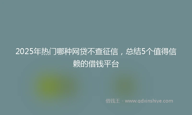 2025年热门哪种网贷不查征信，总结5个值得信赖的借钱平台