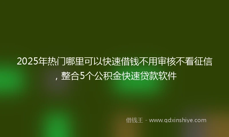 2025年热门哪里可以快速借钱不用审核不看征信，整合5个公积金快速贷款软件