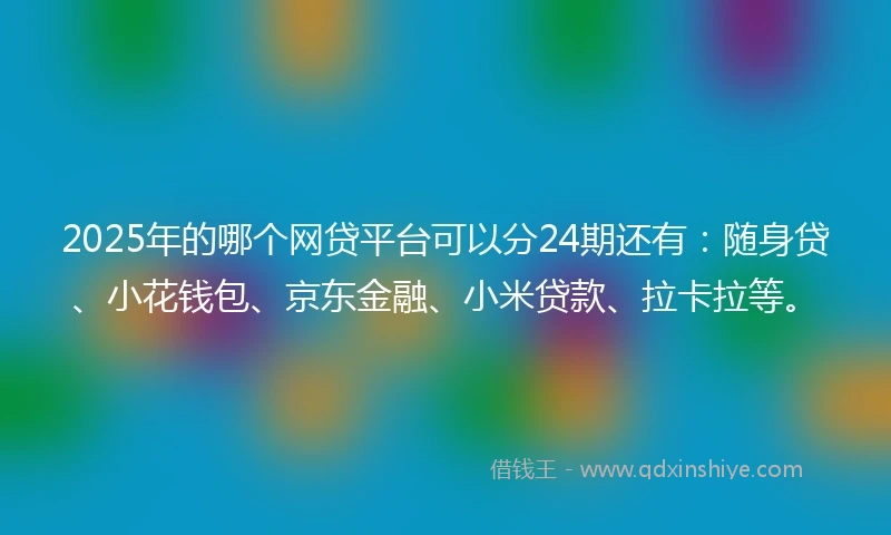 2025年的哪个网贷平台可以分24期还有：随身贷、小花钱包、京东金融、小米贷款、拉卡拉等。