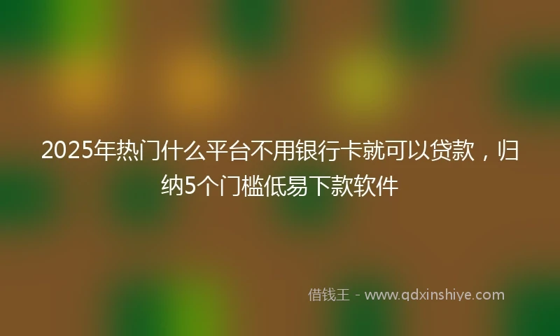 2025年热门什么平台不用银行卡就可以贷款，归纳5个门槛低易下款软件