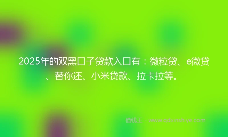 2025年的双黑口子贷款入口有：微粒贷、e微贷、替你还、小米贷款、拉卡拉等。
