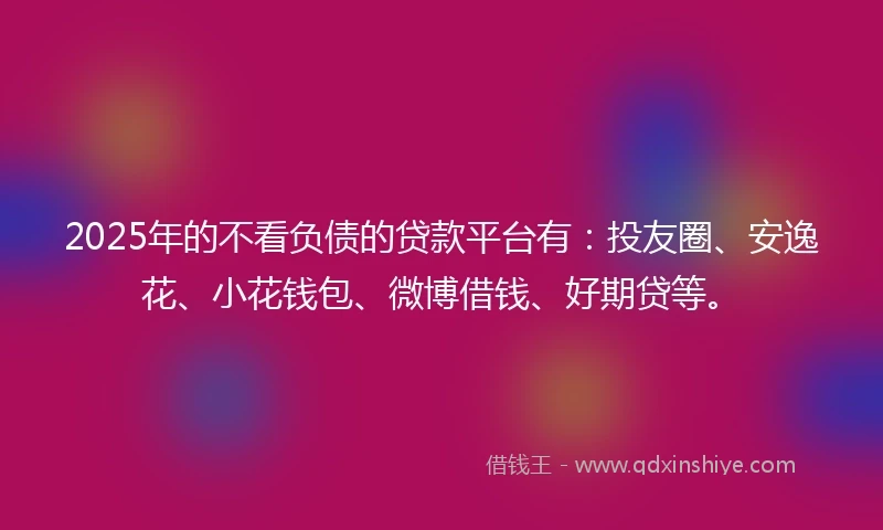 2025年的不看负债的贷款平台有：投友圈、安逸花、小花钱包、微博借钱、好期贷等。