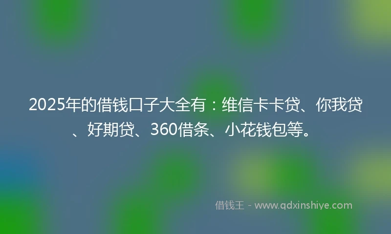 2025年的借钱口子大全有：维信卡卡贷、你我贷、好期贷、360借条、小花钱包等。