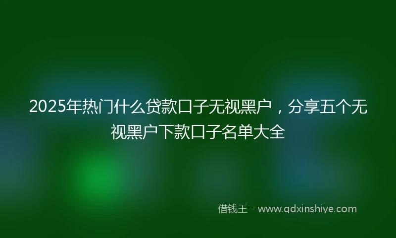 2025年热门什么贷款口子无视黑户，分享五个无视黑户下款口子名单大全
