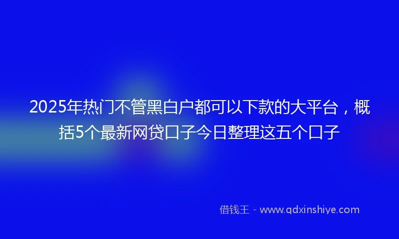 2025年热门不管黑白户都可以下款的大平台，概括5个最新网贷口子今日整理这五个口子