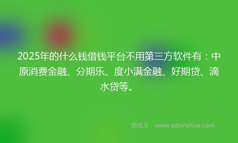 2025年的什么钱借钱平台不用第三方软件有：中原消费金融、分期乐、度小满金融、好期贷、滴水贷等。