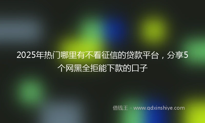 2025年热门哪里有不看征信的贷款平台，分享5个网黑全拒能下款的口子