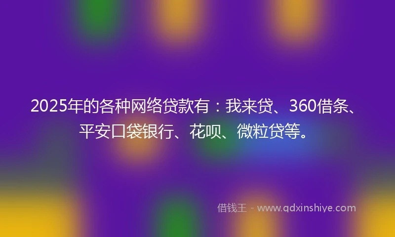 2025年的各种网络贷款有：我来贷、360借条、平安口袋银行、花呗、微粒贷等。