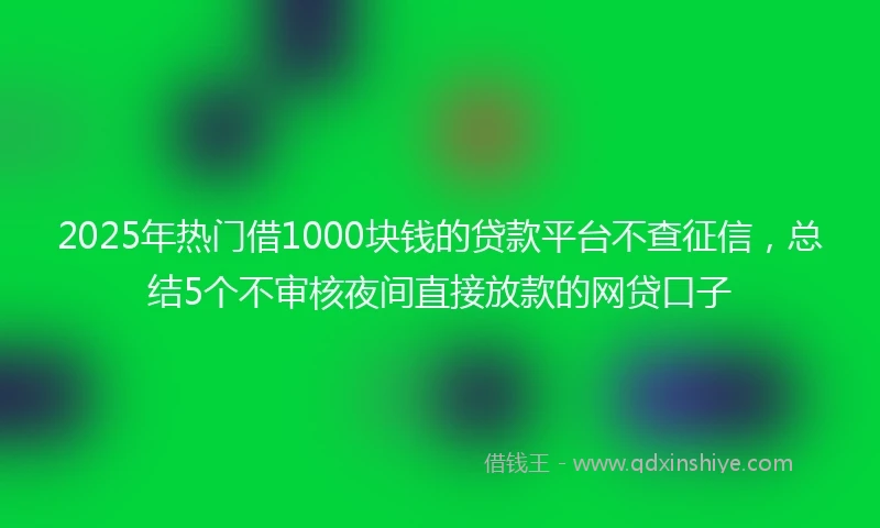 2025年热门借1000块钱的贷款平台不查征信，总结5个不审核夜间直接放款的网贷口子