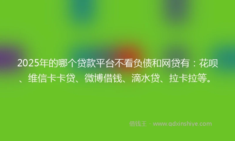 2025年的哪个贷款平台不看负债和网贷有：花呗、维信卡卡贷、微博借钱、滴水贷、拉卡拉等。