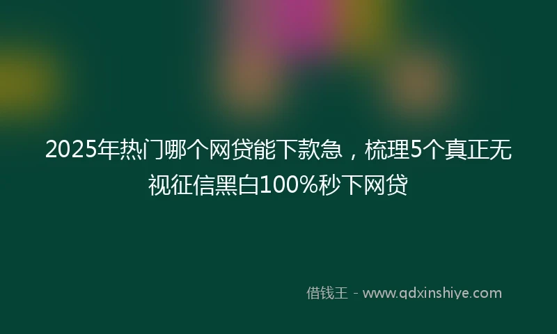 2025年热门哪个网贷能下款急,梳理5个真正无视征信黑白100%秒下网贷