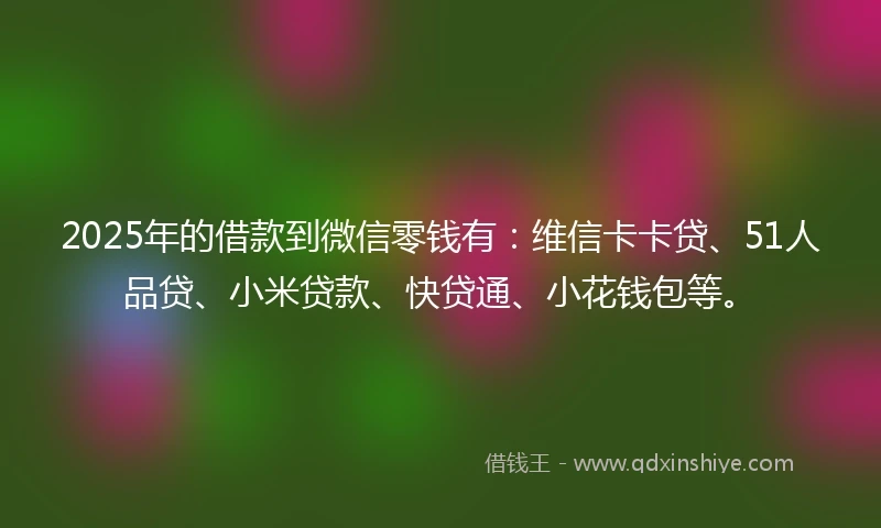 2025年的借款到微信零钱有：维信卡卡贷、51人品贷、小米贷款、快贷通、小花钱包等。