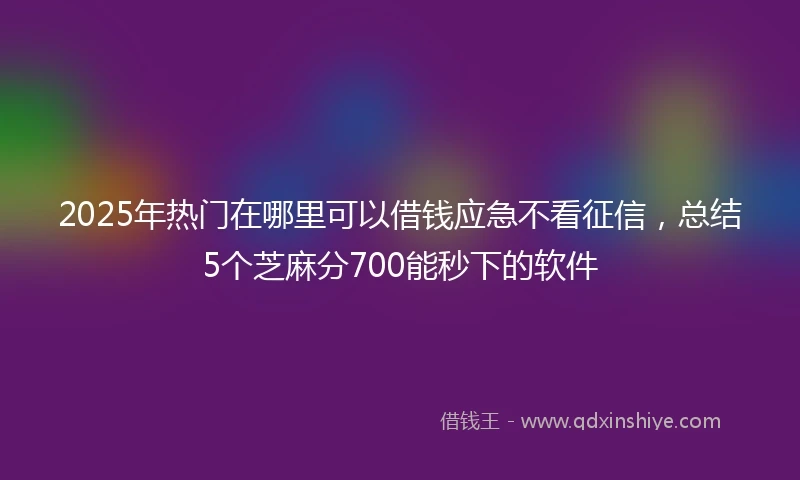 2025年热门在哪里可以借钱应急不看征信，总结5个芝麻分700能秒下的软件