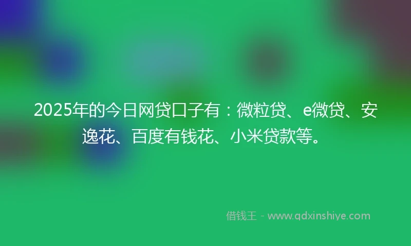 2025年的今日网贷口子有：微粒贷、e微贷、安逸花、百度有钱花、小米贷款等。