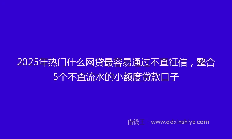 2025年热门什么网贷最容易通过不查征信，整合5个不查流水的小额度贷款口子