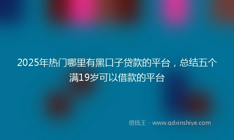 2025年热门哪里有黑口子贷款的平台，总结五个满19岁可以借款的平台