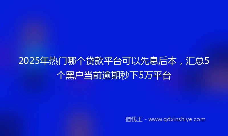 2025年热门哪个贷款平台可以先息后本，汇总5个黑户当前逾期秒下5万平台