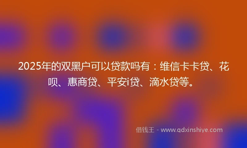 2025年的双黑户可以贷款吗有：维信卡卡贷、花呗、惠商贷、平安i贷、滴水贷等。