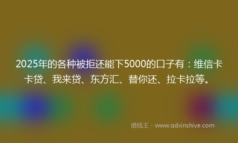 2025年的各种被拒还能下5000的口子有：维信卡卡贷、我来贷、东方汇、替你还、拉卡拉等。