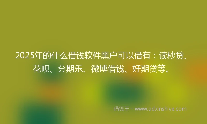 2025年的什么借钱软件黑户可以借有：读秒贷、花呗、分期乐、微博借钱、好期贷等。