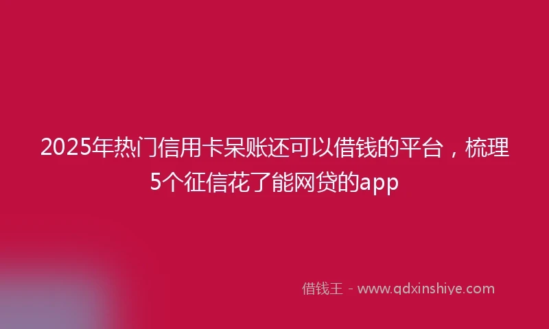 2025年热门信用卡呆账还可以借钱的平台，梳理5个征信花了能网贷的app