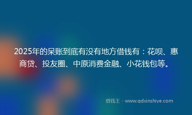 2025年的呆账到底有没有地方借钱有：花呗、惠商贷、投友圈、中原消费金融、小花钱包等。