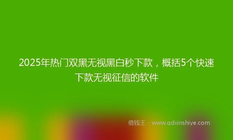 2025年热门双黑无视黑白秒下款，概括5个快速下款无视征信的软件