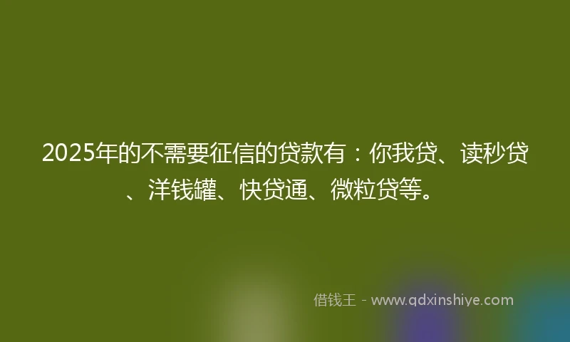 2025年的不需要征信的贷款有:你我贷、读秒贷、洋钱罐、快贷通、微粒贷等。