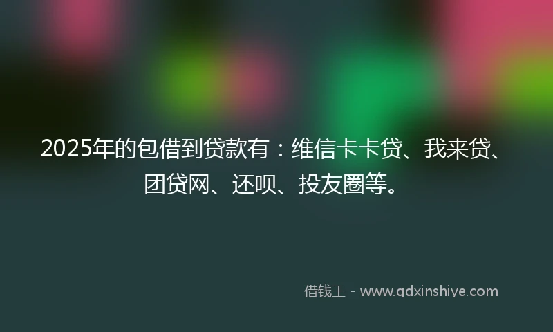 2025年的包借到贷款有：维信卡卡贷、我来贷、团贷网、还呗、投友圈等。