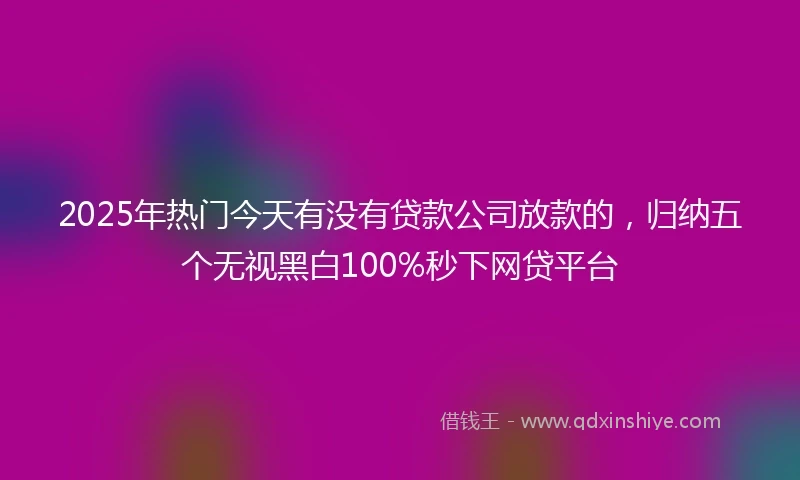 2025年热门今天有没有贷款公司放款的，归纳五个无视黑白100%秒下网贷平台