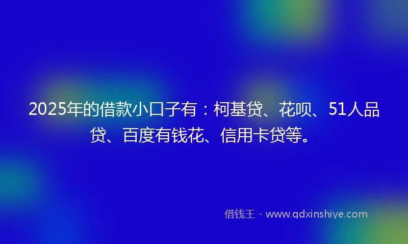 2025年的借款小口子有：柯基贷、花呗、51人品贷、百度有钱花、信用卡贷等。