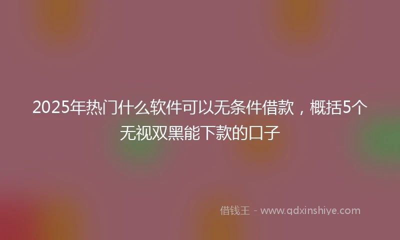 2025年热门什么软件可以无条件借款，概括5个无视双黑能下款的口子