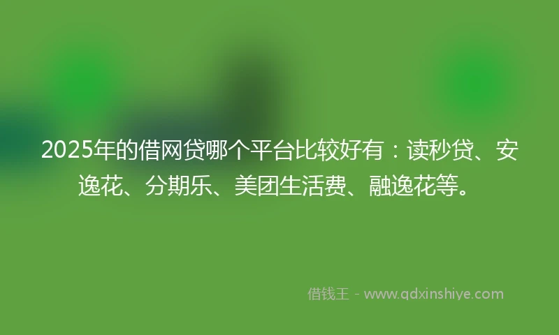 2025年的借网贷哪个平台比较好有：读秒贷、安逸花、分期乐、美团生活费、融逸花等。