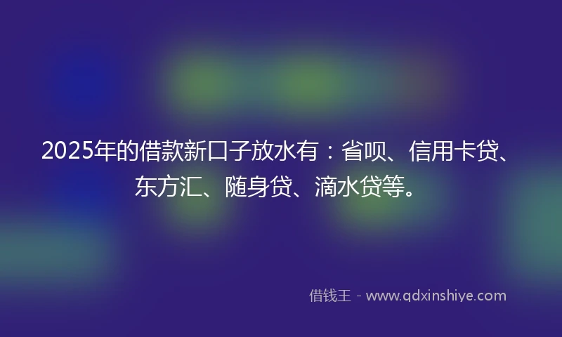 2025年的借款新口子放水有:省呗、信用卡贷、东方汇、随身贷、滴水贷等。